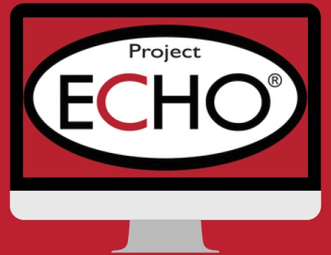 Project ECHO Educational Series: Session 1 Scenario Briefing Form